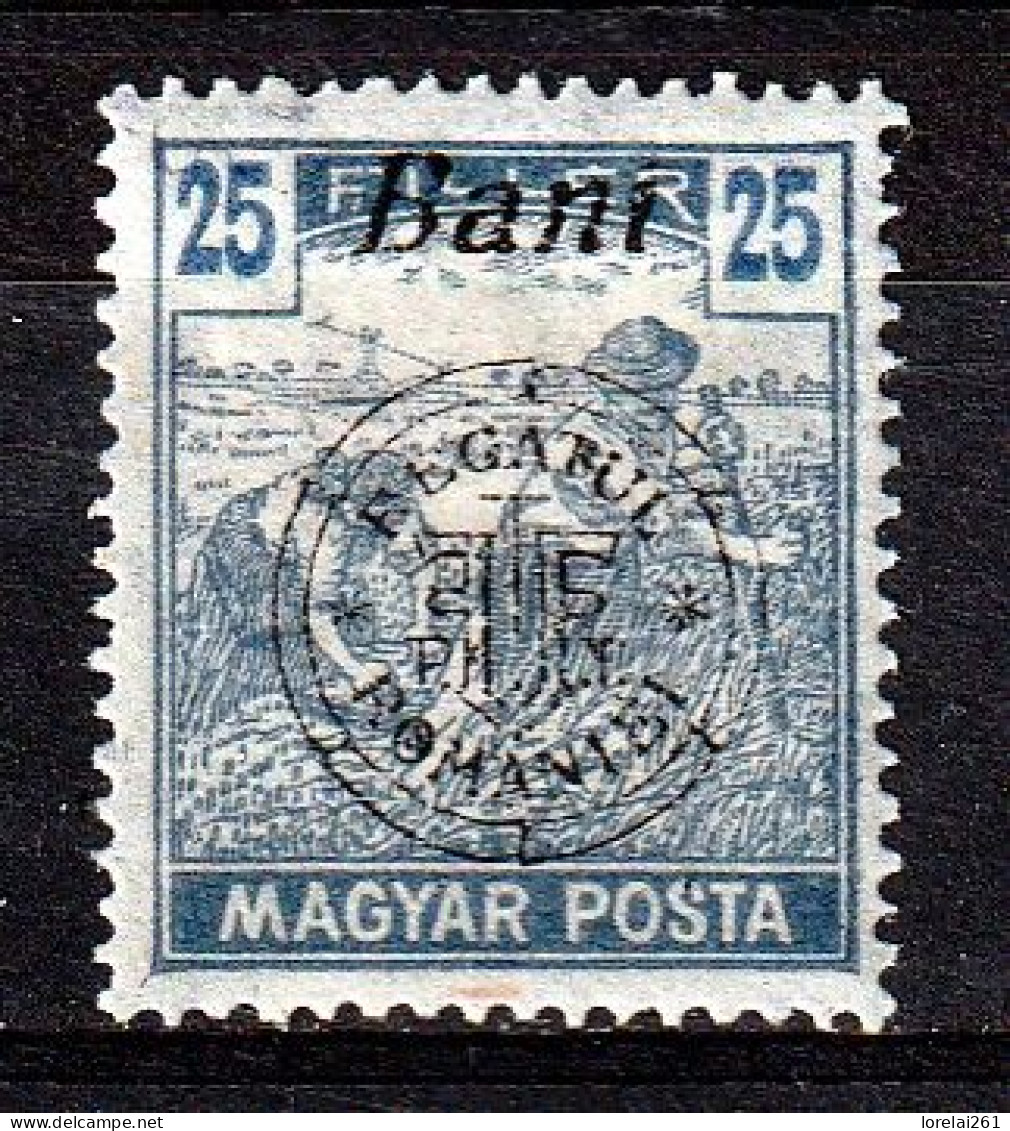 1919 - Romanian Occupation In Hungary  Mi No  34 II  LES SACKER - Bezetting