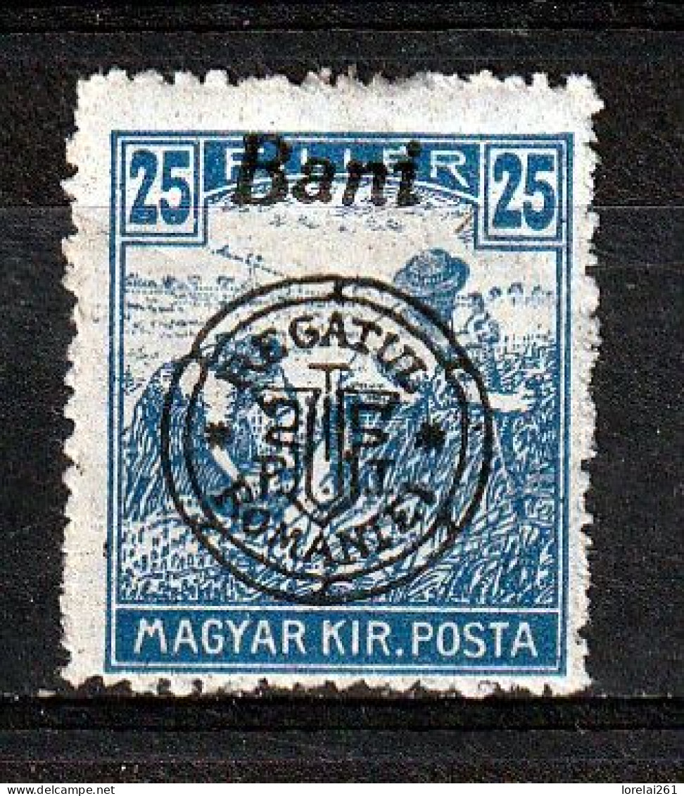 1919 - Romanian Occupation In Hungary  Mi No  34 II  LES SACKER - Ocupaciones
