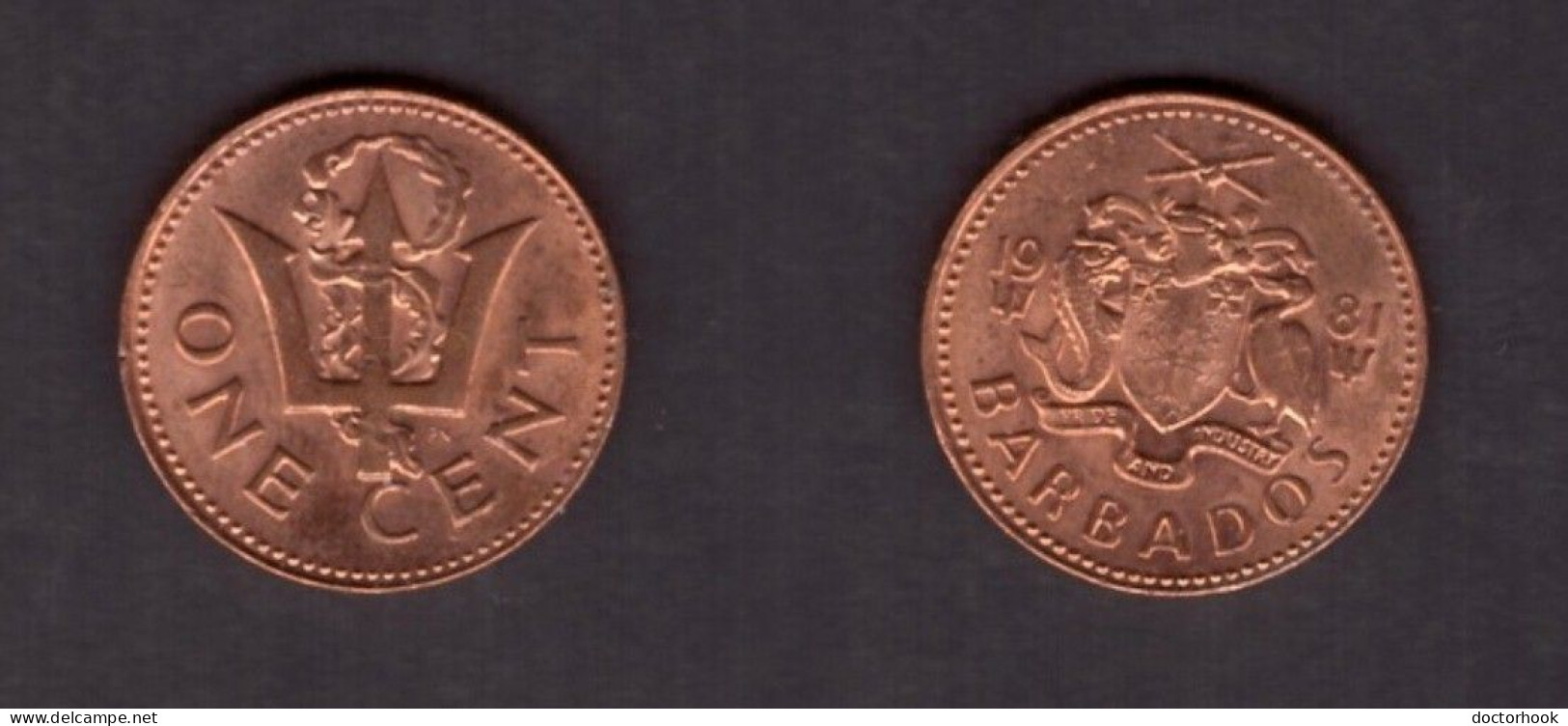 BARBADOS   1 CENT 1981 (KM # 10) #7508 - Barbados