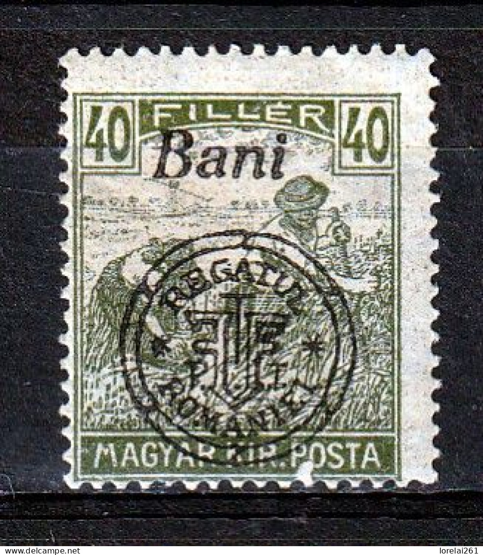 1919 - Romanian Occupation In Hungary  Mi No  36 II  LES SACKER - Occupazione