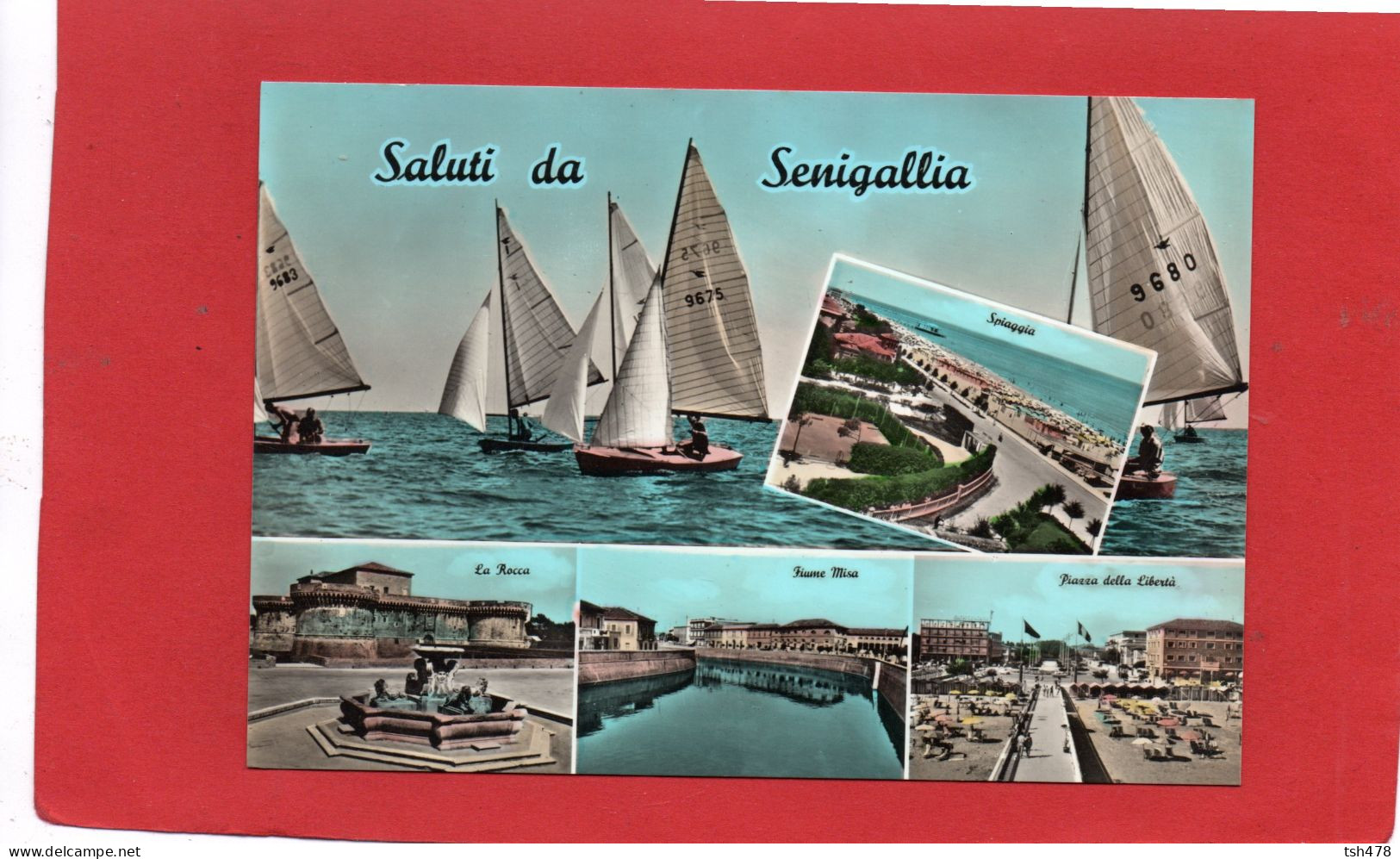 ITALIE---Saluti Da SENIGALLIA---multi-vues---voir  2 Scans - Senigallia