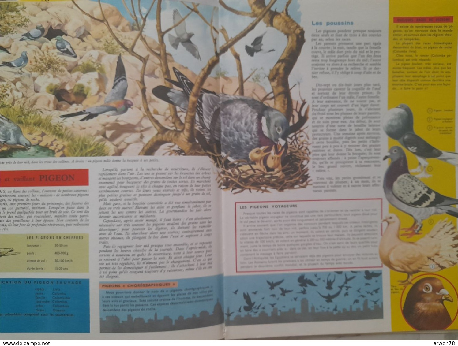 TOUT L'UNIVERS N° 69 LES CARTES DE GEOGRAPHIE LE PIGEON JACQUES COEUR A TABLE AVEC LES ROMAINS - Encyclopaedia