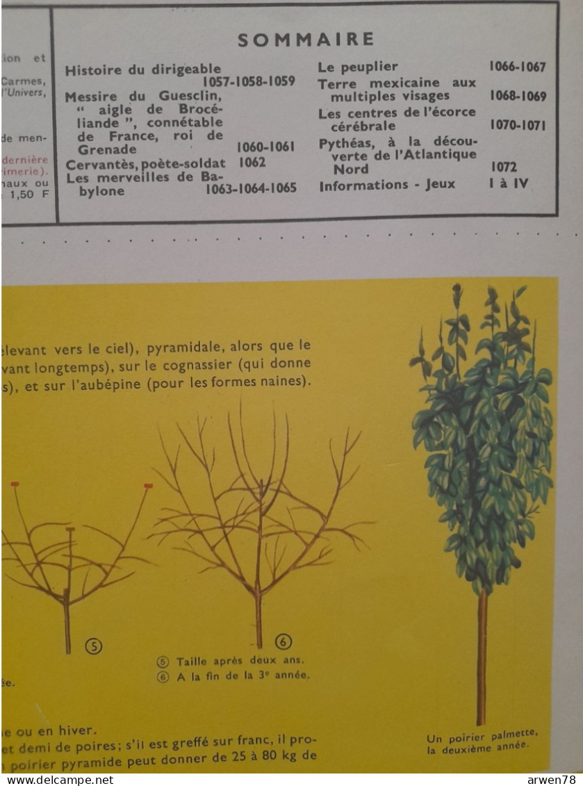 TOUT L'UNIVERS N° 67 DU GUESCLIN CERVANTES LE DIRIGEABLE BABYLONE LE PEUPLIER PYTHEAS - Encyclopaedia