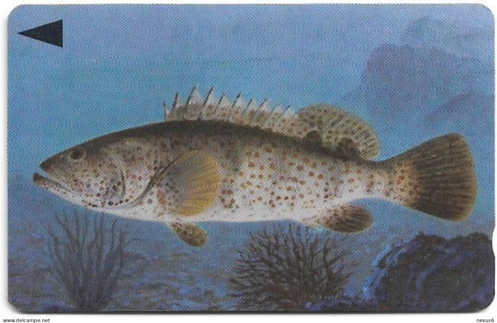 Bahrain - Batelco (GPT) - Fish Of Bahrain - Grouper - 41BAHN (Normal 0), 1996, Used - Bahrain