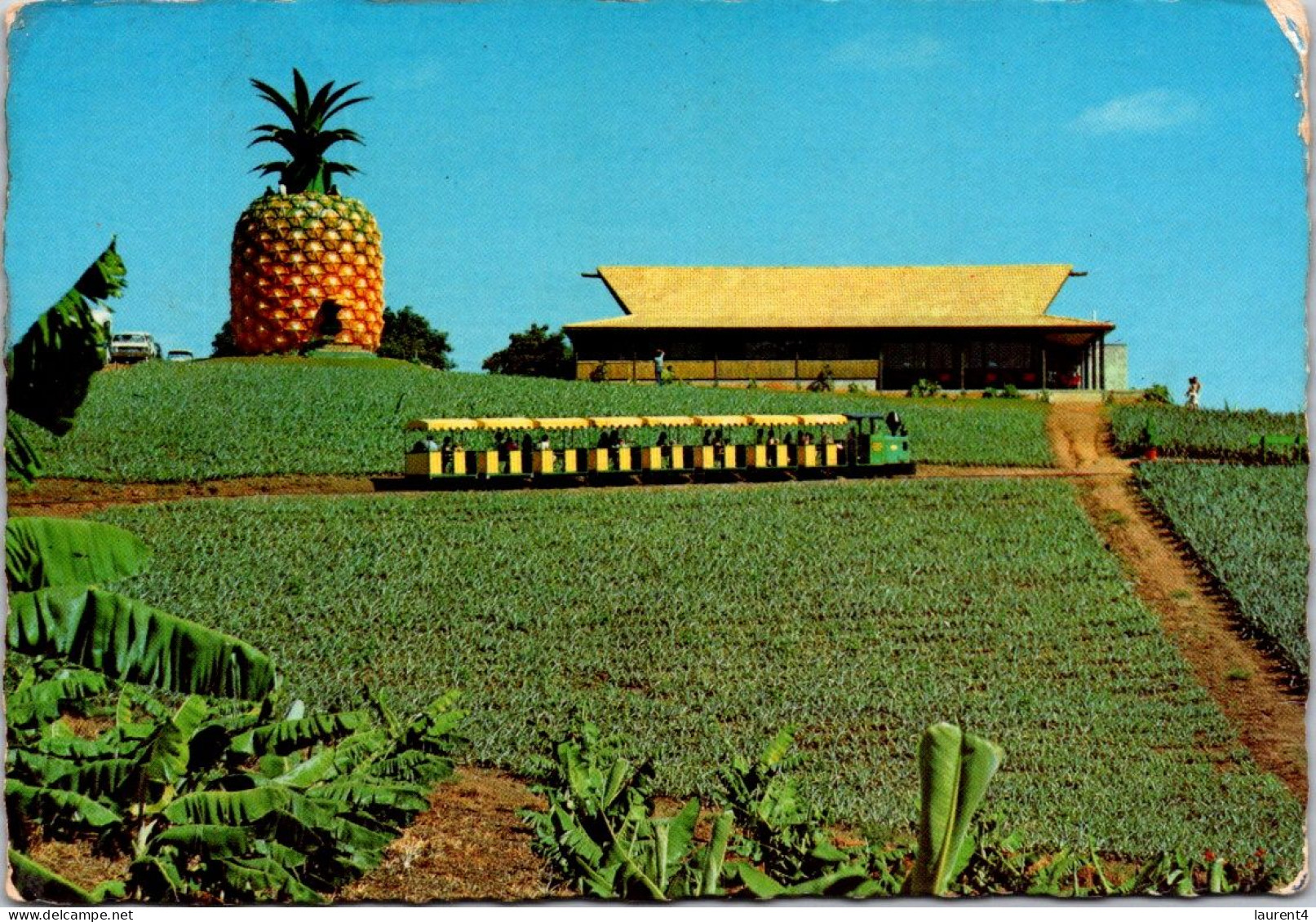 12-9-2023 (4 T 51) Australia - QLD - Big Pineapple (with Mini Train) - Otros & Sin Clasificación