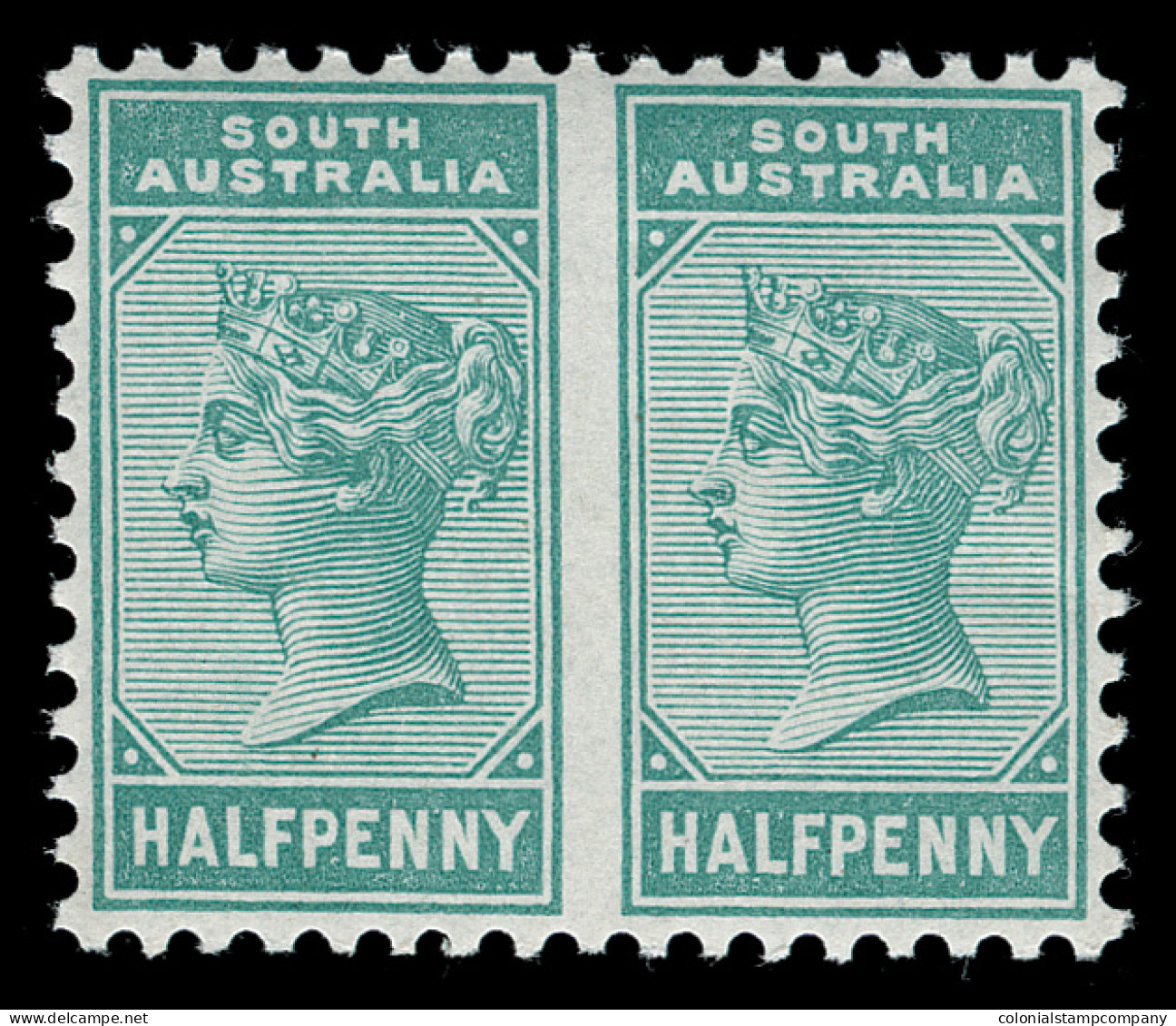 ** Australia / South Australia - Lot No. 146 - Ongebruikt