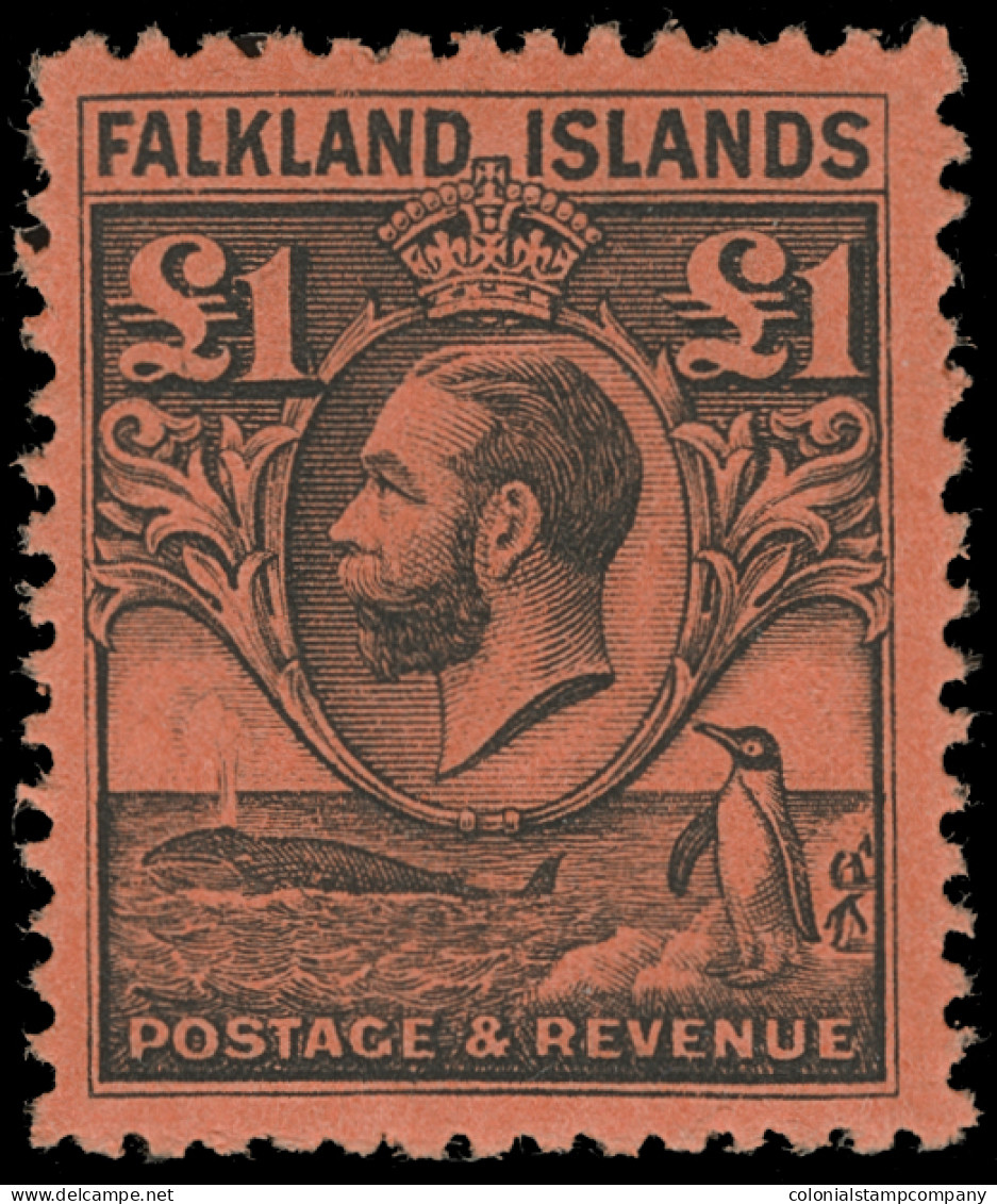 * Falkland Islands - Lot No. 586 - Falklandinseln