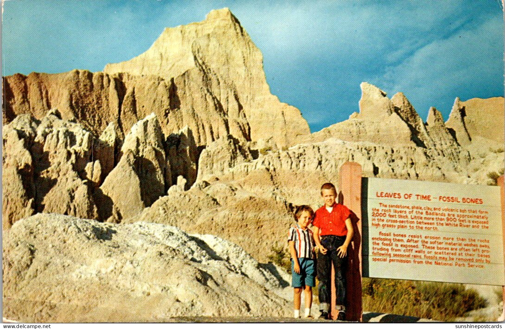 South Dakota Badlands Leaves Of Time Fossil Bones - Sonstige & Ohne Zuordnung