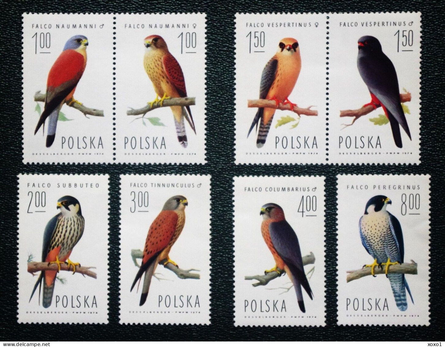 Poland 1975 MiNr. 2354 - 2361 Polen Birds Of Prey  Lesser Kestrel, Red-footed Falcon 8v Mnh ** 10.00 € - Aigles & Rapaces Diurnes