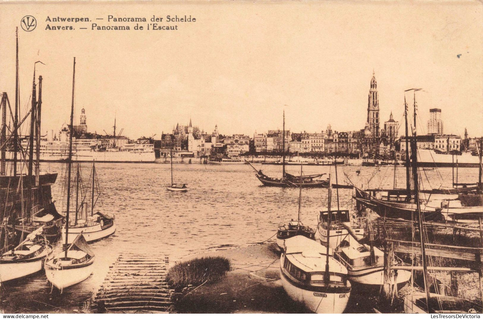 BELGIQUE - Anvers - Panorama De L'Escaut - Port - Bateaux - Carte Postale Ancienne - Antwerpen