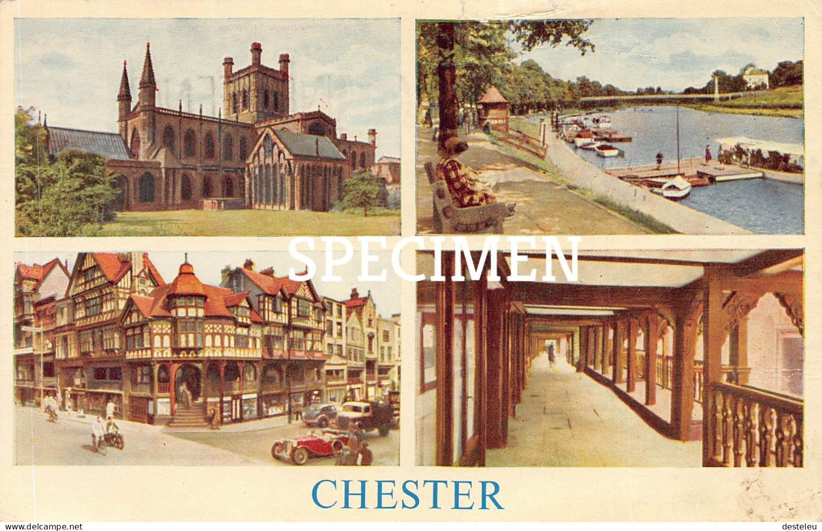 Chester - Chester