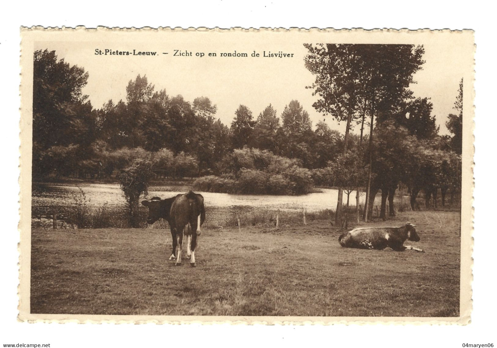 ****  ST - PIETERS - LEEUW  ****  -  Zicht Op En Rondom De Lisvijver  -   Zie / Voir / Scan's - Sint-Pieters-Leeuw