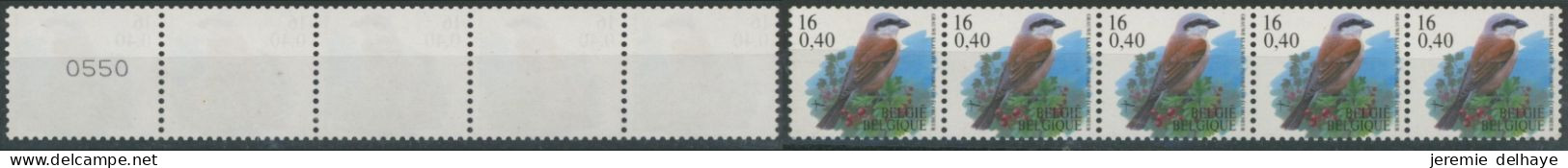 Rouleaux - R96a Oiseaux Pie-grièche (bande De 5 + N° Au Verso, 4 Chiffres) - Coil Stamps