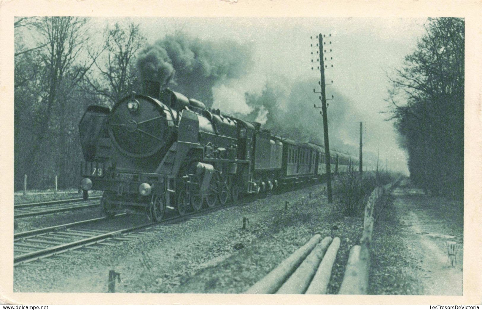 TRANSPORT - Le Chemin De Fer Du Nord - Train Rapide "la Flèche D'Or" - Carte Postale Ancienne - Trains