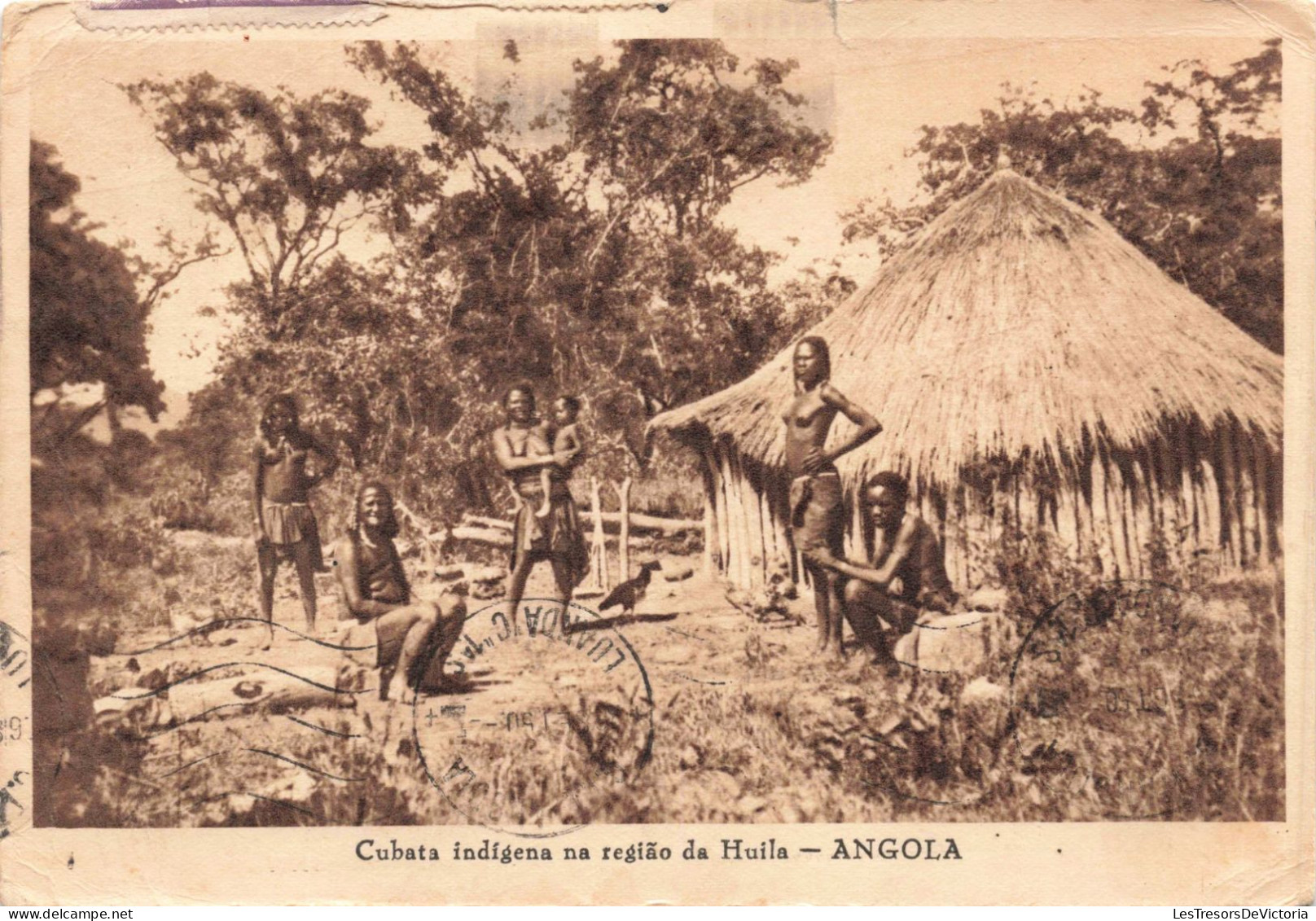 AFRIQUE - Angola - Cubata Indigena Na Regiao Da Huila - Carte Postale Ancienne - Angola