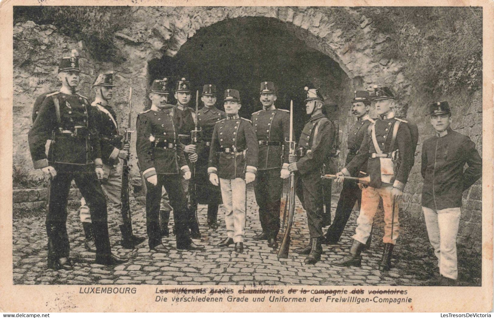 BELGIQUE - Luxembourg -  Les Différents Grades Et Uniformes De La Compagnie Des Volontaires - Carte Postale Ancienne - Autres & Non Classés