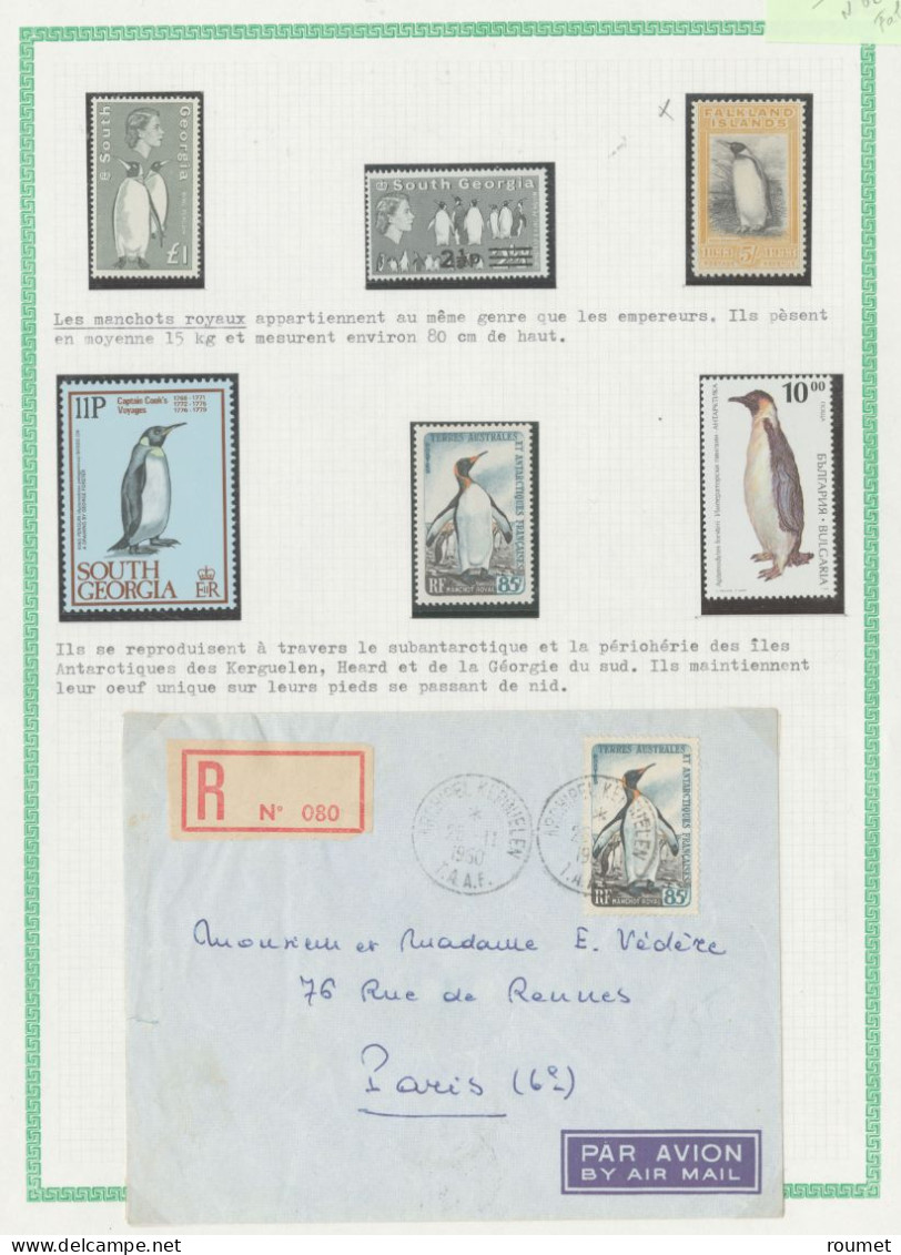 ** Thème Antarctique, Bel Ensemble De Valeurs Et Plis Divers, Nombreux Pays Dont TAAF 24**, Un Pli Delore Des Kerguelen, - Collections (en Albums)