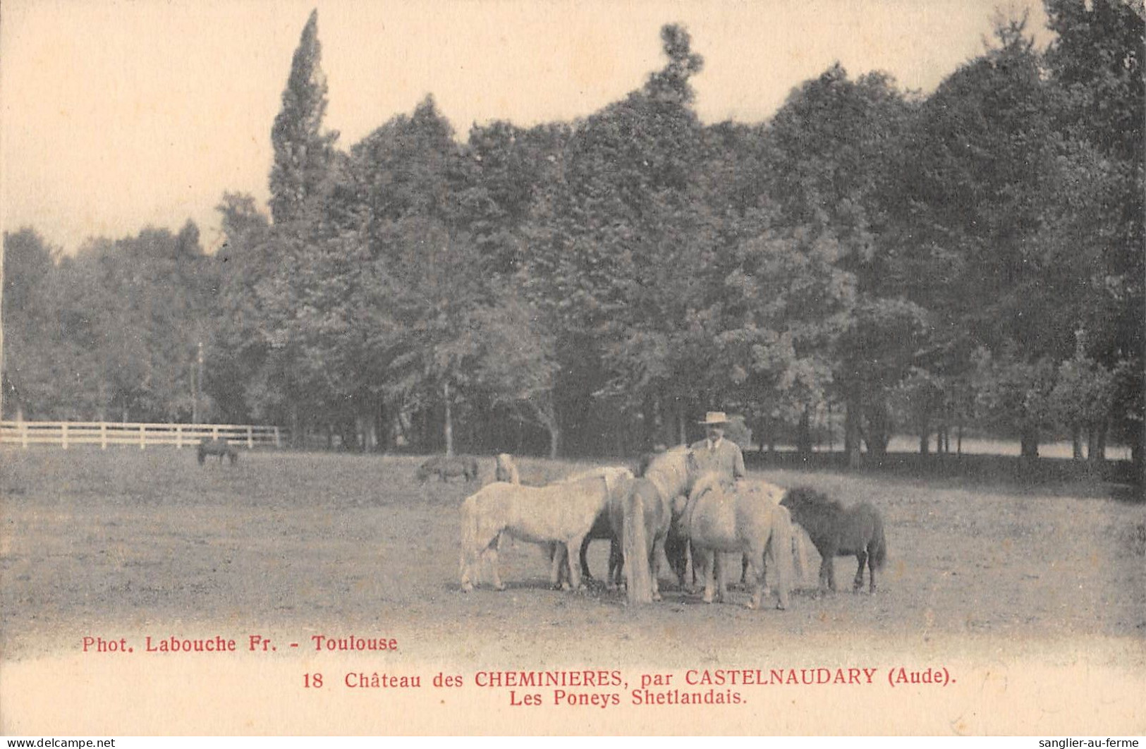 CPA 11 CHATEAU DES CHEMINIERES / PAR CASTELNAUDARY / LES PONEYS SHETLANDAIS - Andere & Zonder Classificatie