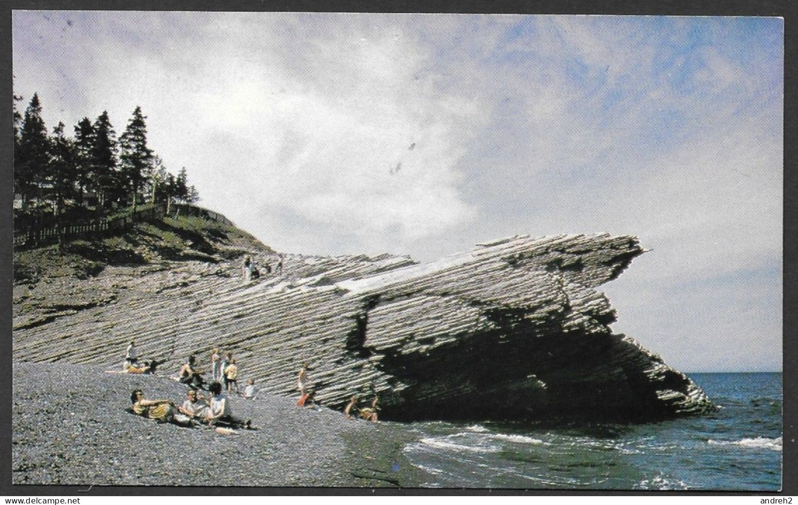 Gaspé  Gaspésie Québec - Parc Du Cap Bon Ami Au Parc National Forillon - Non Circulée Photo Al Cassidy  No: 9419B - Gaspé