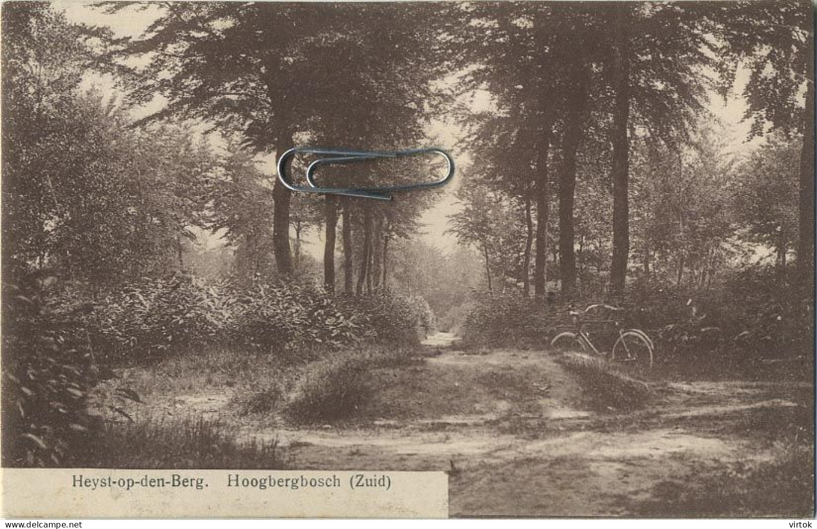 Heist Op Den Berg : Hoogbergbosch ( Zuid )   1913 Met Zegel - Heist-op-den-Berg