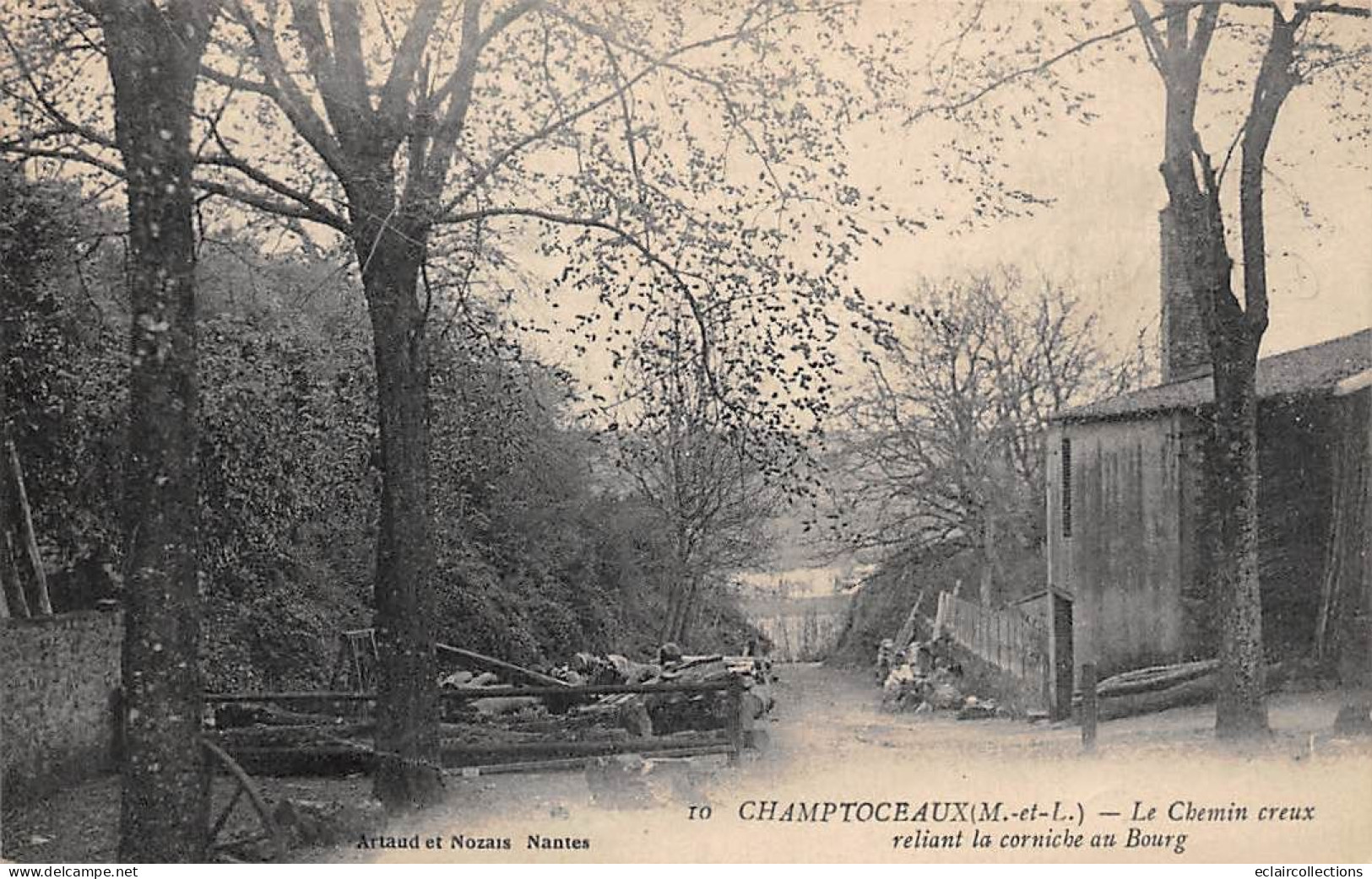 Champtoceaux           49       Chemin Creux Reliant La Corniche Du Bourg  (voir Scan) - Champtoceaux