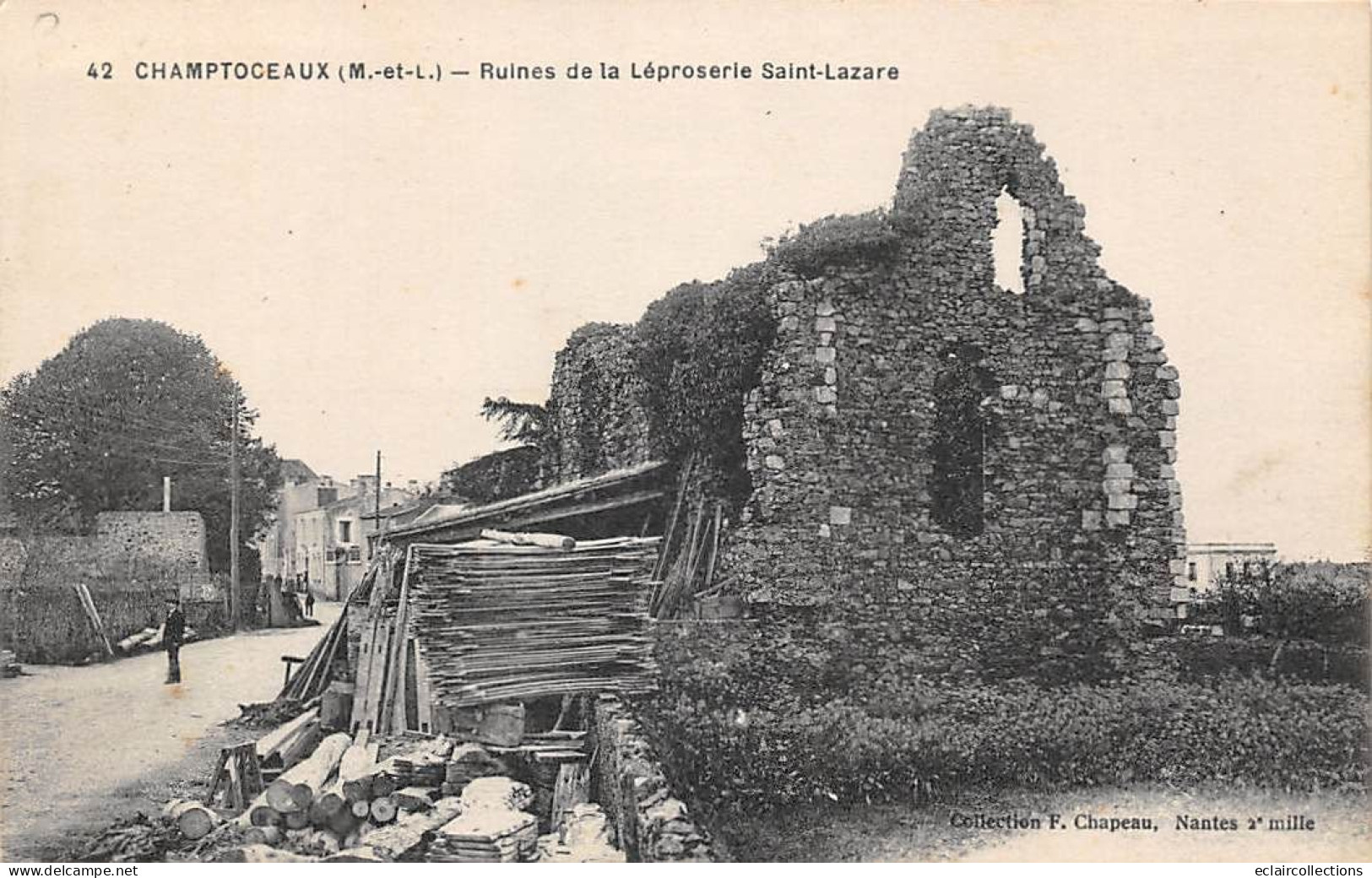 Champtoceaux           49       Ruines De La Léproserie  Saint Lazare  N°42     (voir Scan) - Champtoceaux