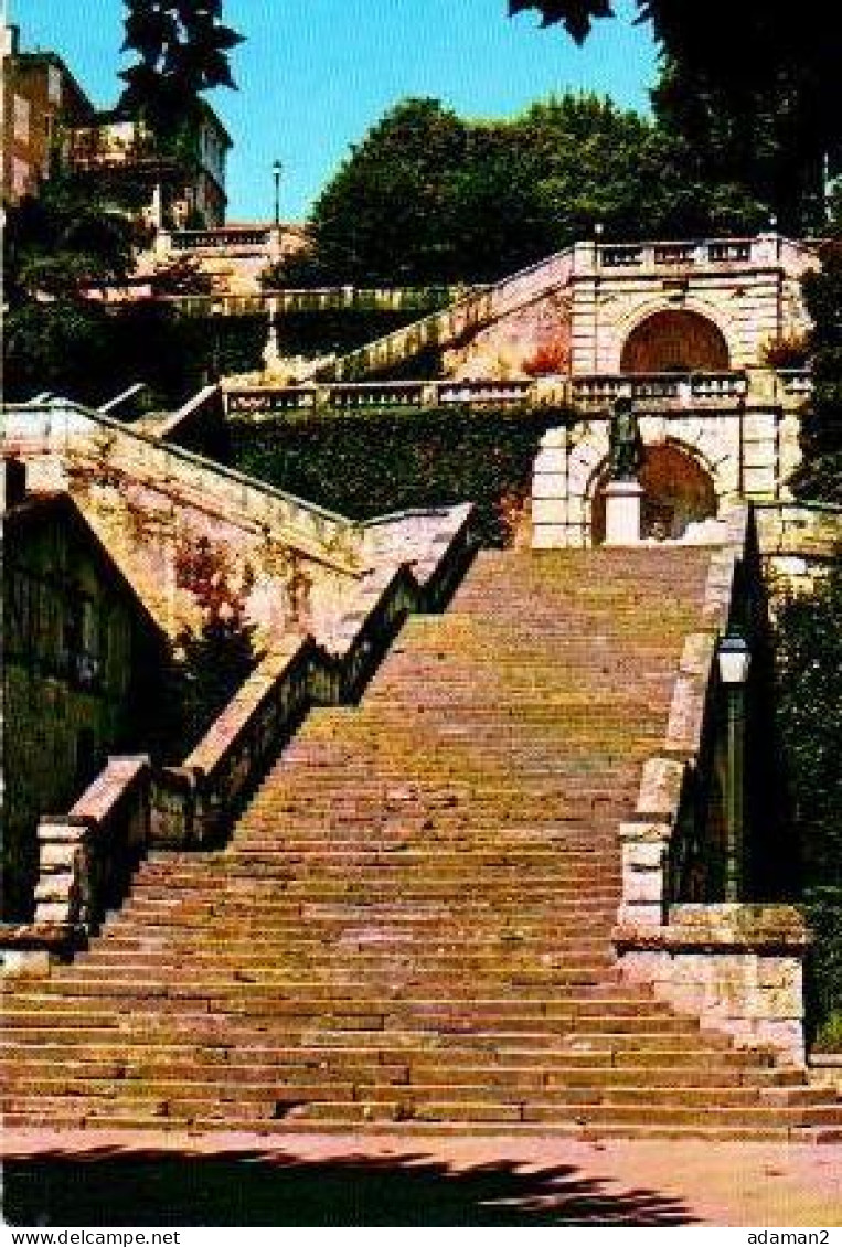 AUCH.L'escalier Monumental , Au Fond La Statue De D'artagnan - Auch