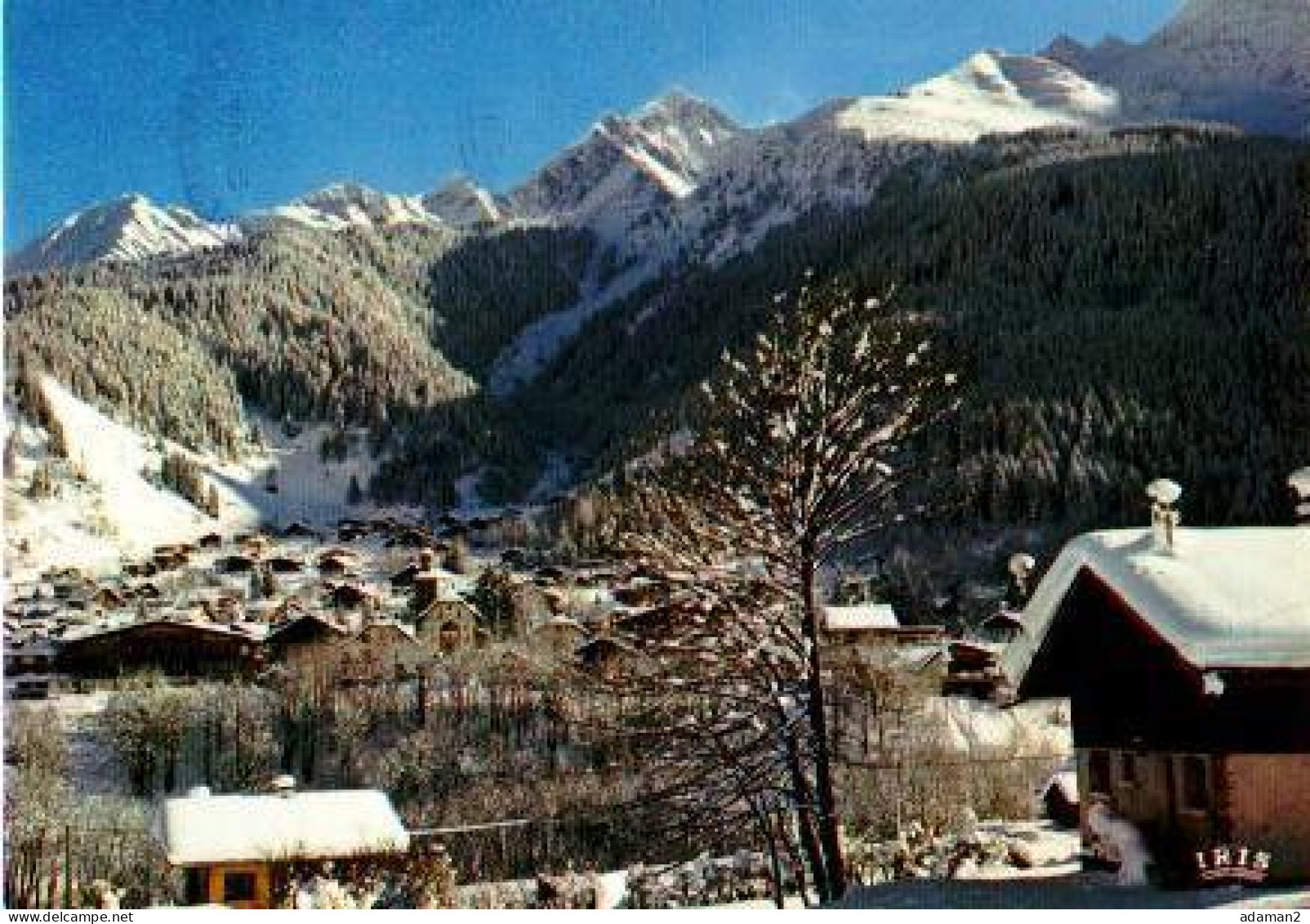 LES CONTAMINES MONTJOIE.Vue Générale Et Le Bionnassay - Contamine-sur-Arve