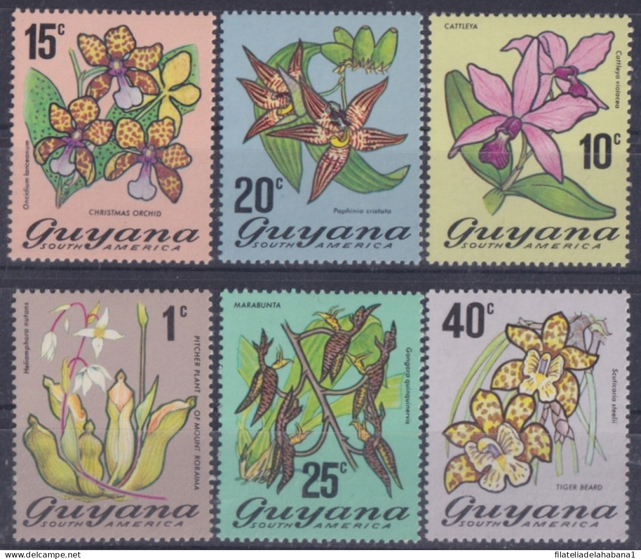 F-EX43614 GUYANA MNH BOTANICAL FLOWER FLORES.  - Plantas Medicinales