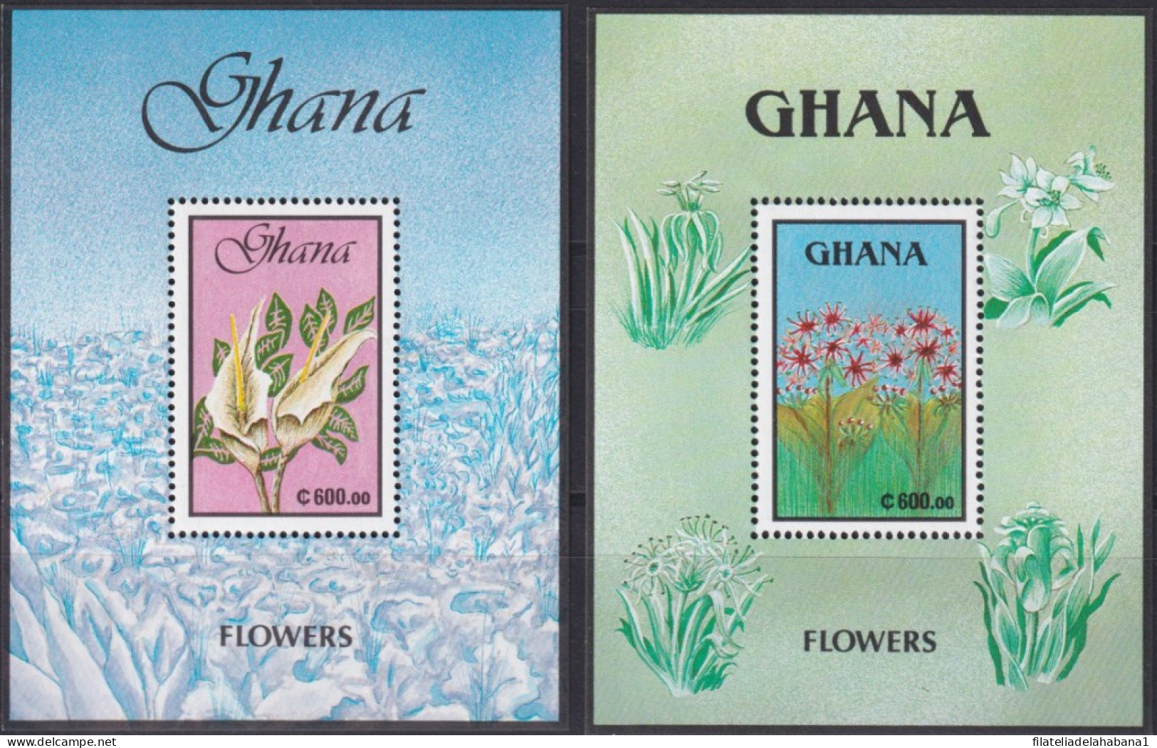 F-EX43967 GHANA MNH 1991 BOTANICAL FLOWER FLORES.  - Plantas Medicinales