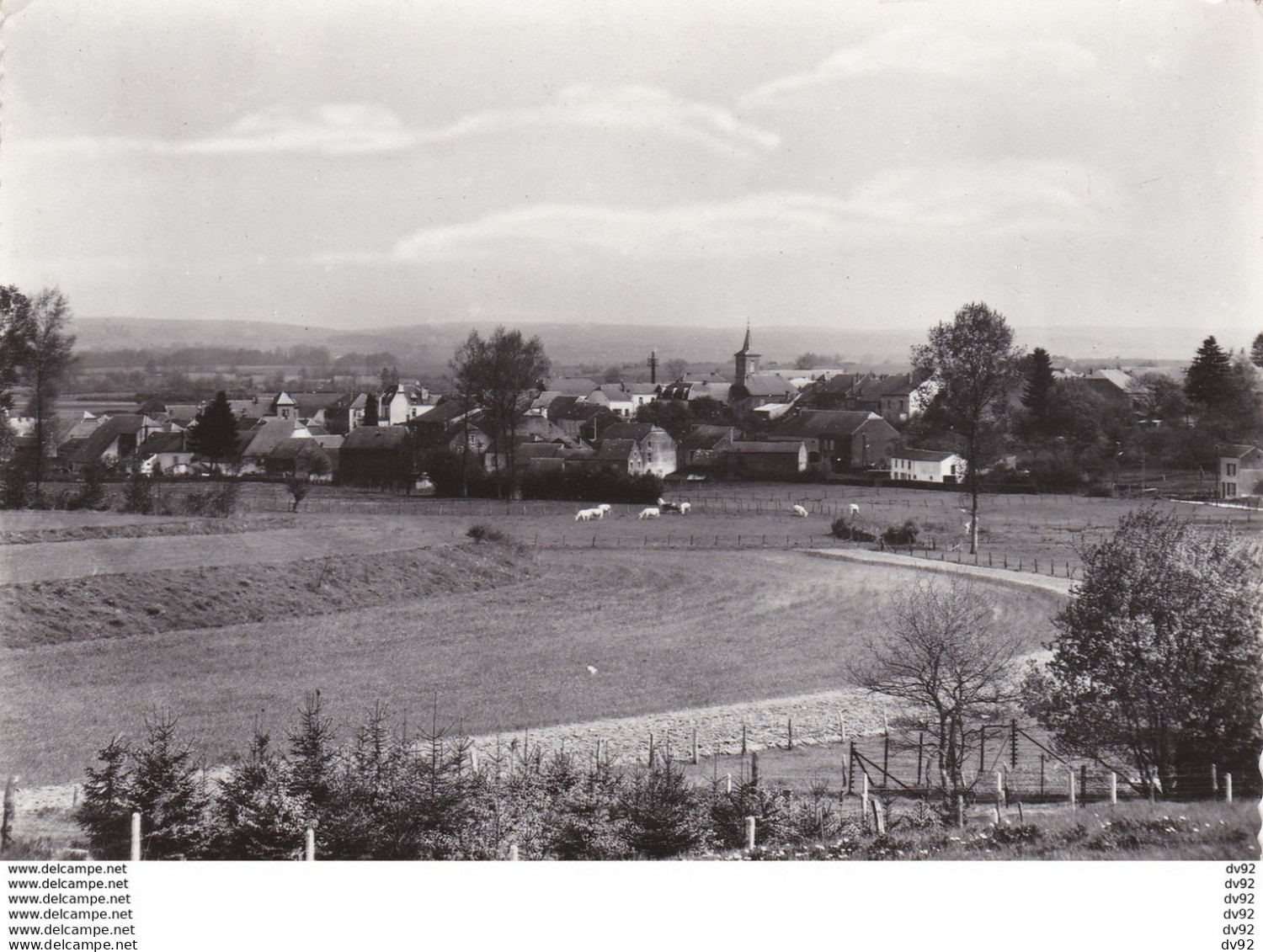 BELGIQUE TINTIGNY PANORAMA - Tintigny