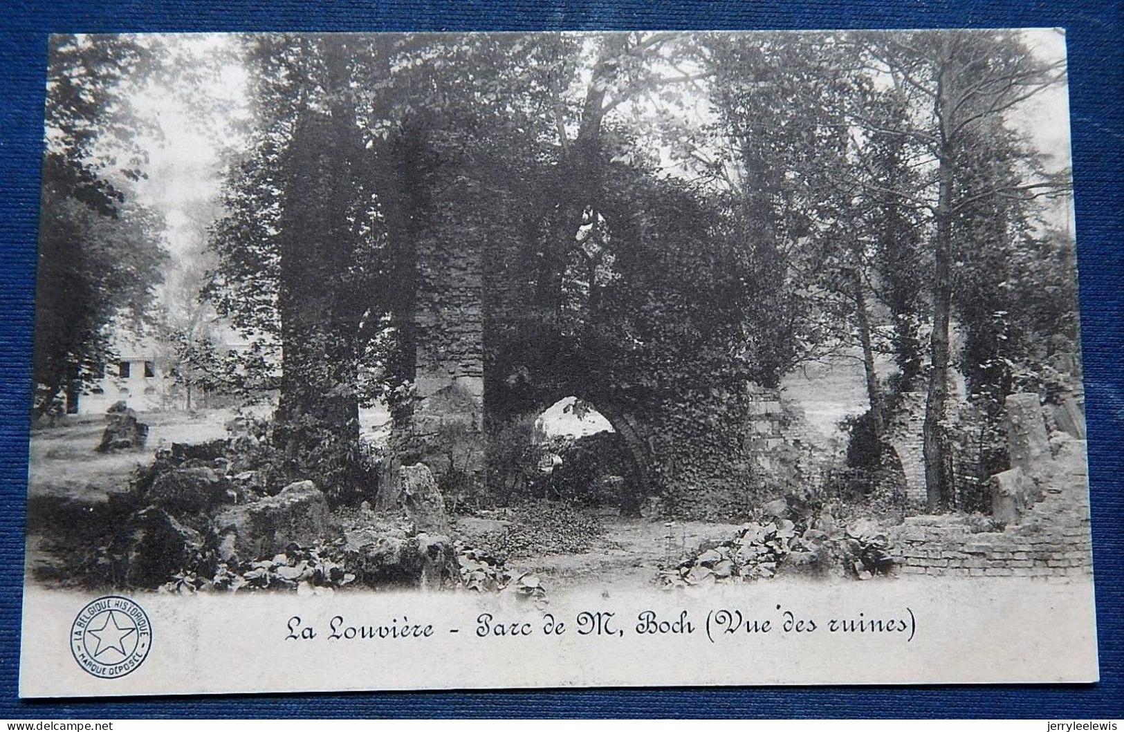 LA  LOUVIERE  -  Parc De Mr Boch (vue Des Ruines) - La Louvière