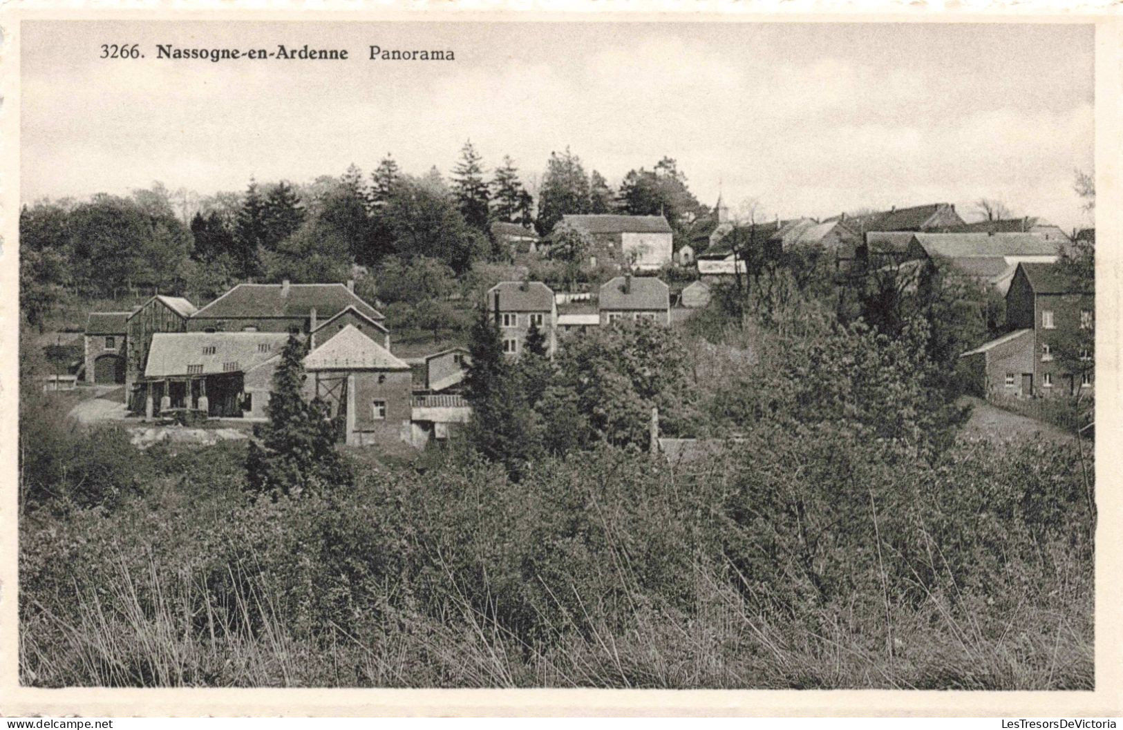 BELGIQUE - Nassogne En Ardenne - Panorama - Carte Postale Ancienne - Nassogne