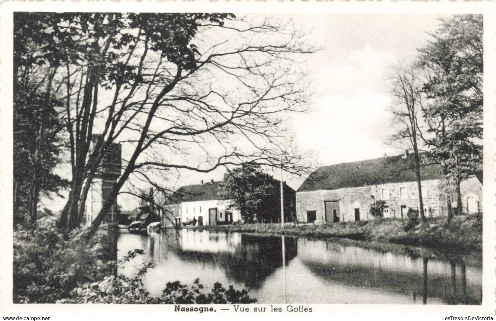 BELGIQUE - Nassogne- Vue Sur Les Goffes - Carte Postale Ancienne - Nassogne