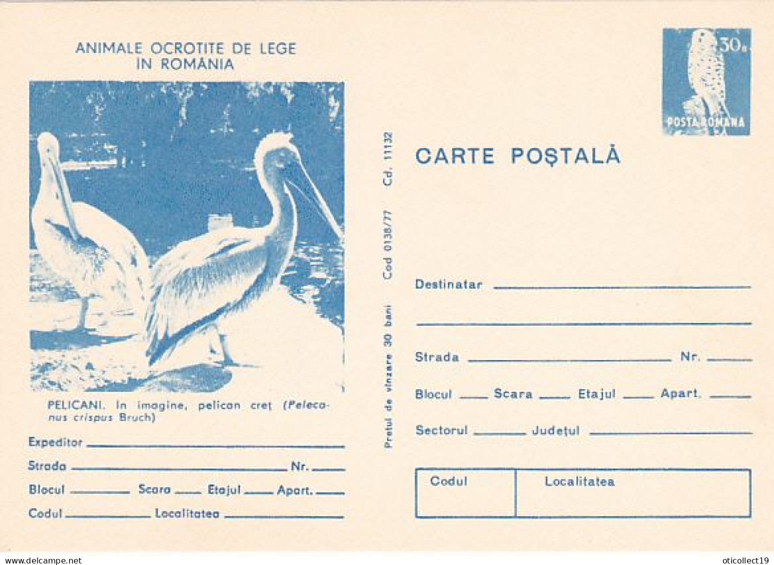 ANIMALS, BIRDS, DALMATIAN PELICAN, KESTREL, POSTCARD STATIONERY, 1977, ROMANIA - Pellicani