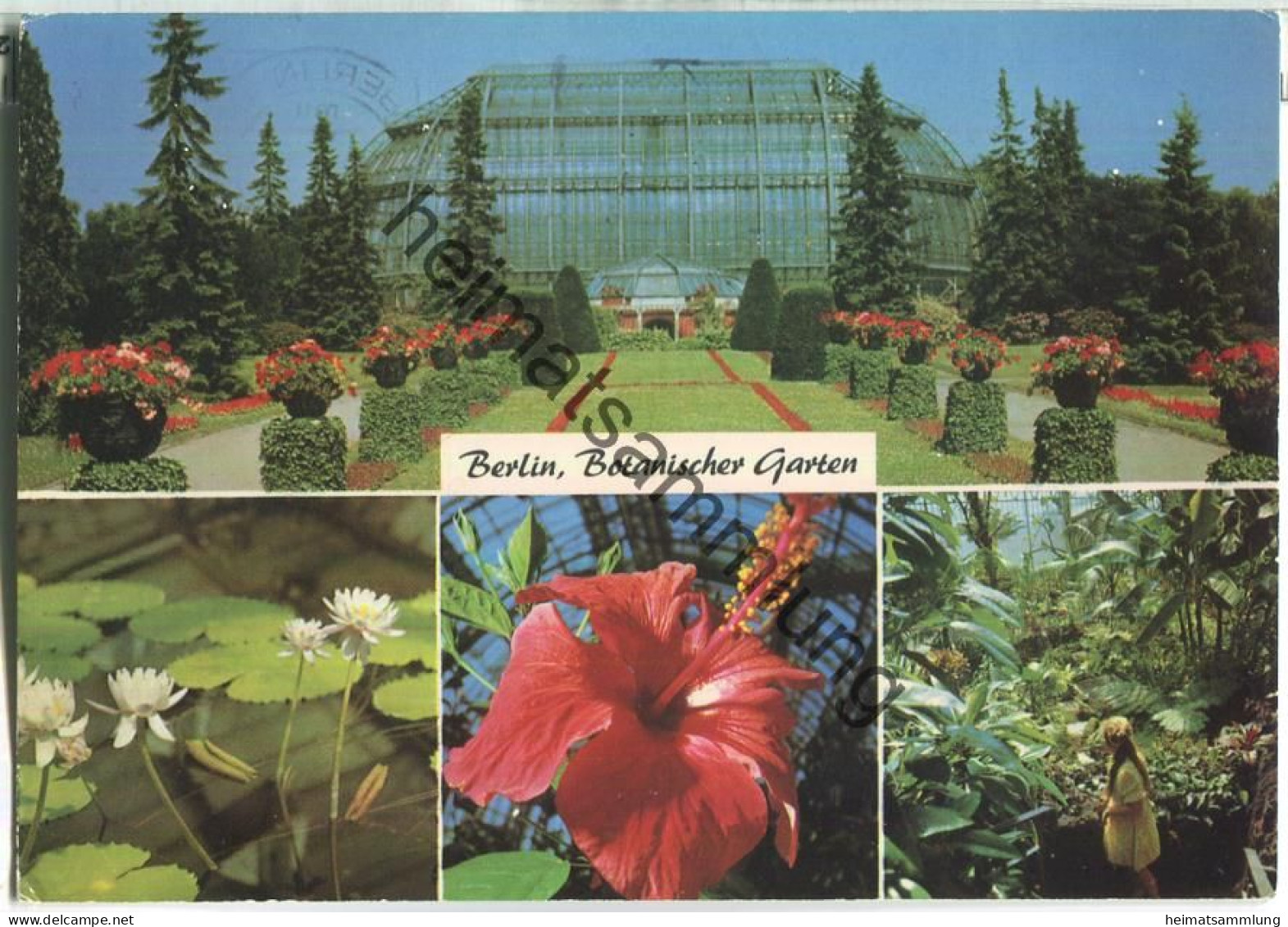 Botanischer Garten Berlin - Verlag Kunst Und Bild Berlin - Dahlem