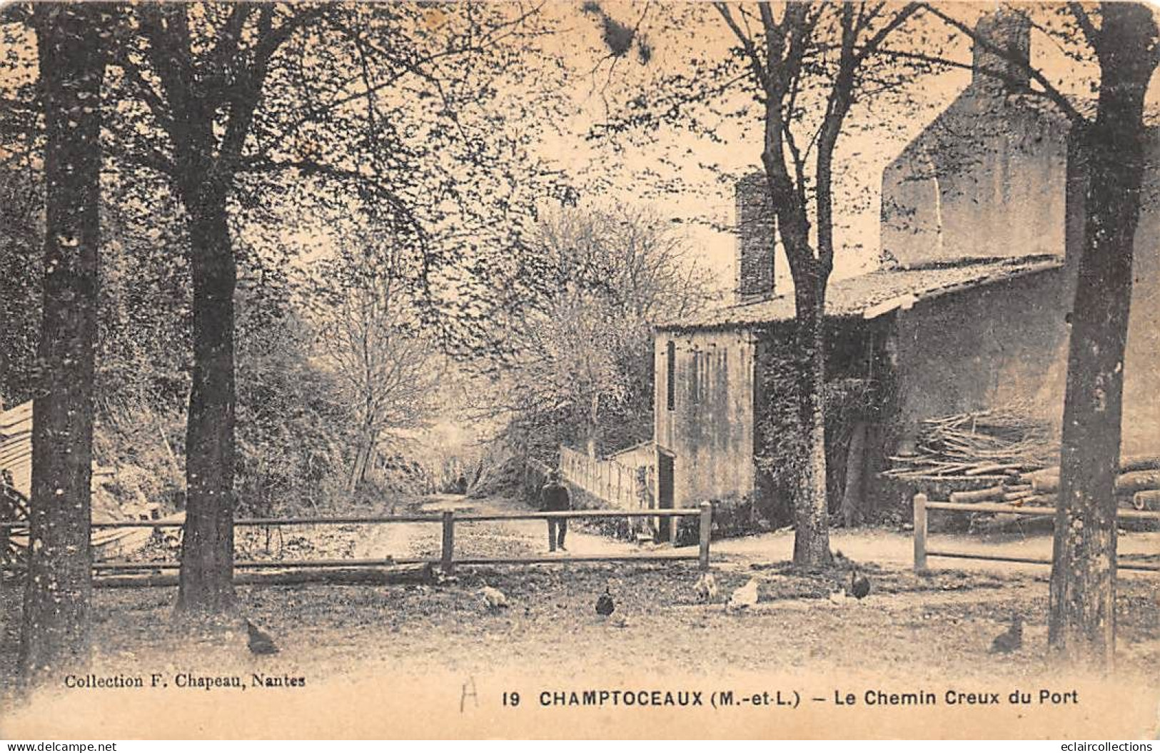 Champtoceaux           49         Le Chemin Creux Du Port  N° 19    (voir Scan) - Champtoceaux