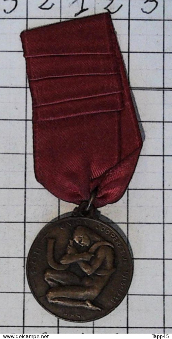 Medaille > Liège > Médaille 10 Ans De L'Union > 1918/1928  > Réf:Cl Belge  Pl 2/ 2 - Bélgica