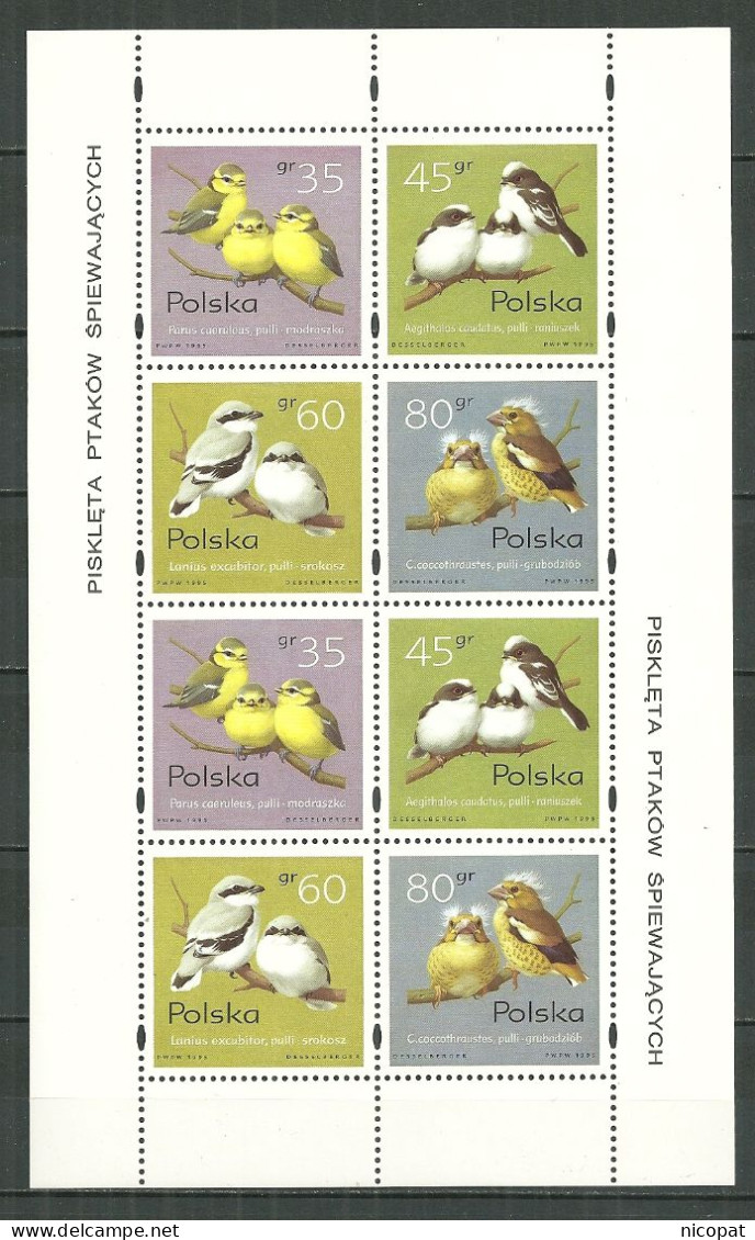 POLAND MNH ** 3355-3358 En Feuillet Dentelé En Haut Et En Bas FAUNE. OISEAUX. OISEAU. - Fogli Completi