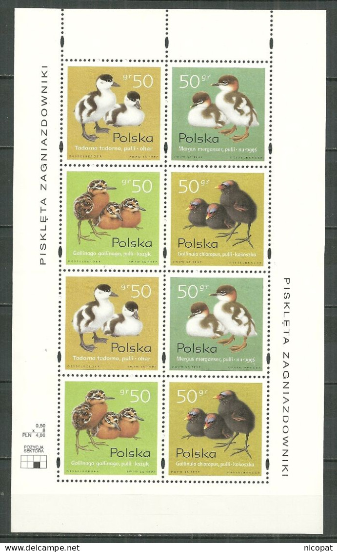 POLAND MNH ** 3469-3472 Feuille Non Dentelé En Bas Et Dentelé En Haut Faune Oiseau Oiseaux Bird - Feuilles Complètes