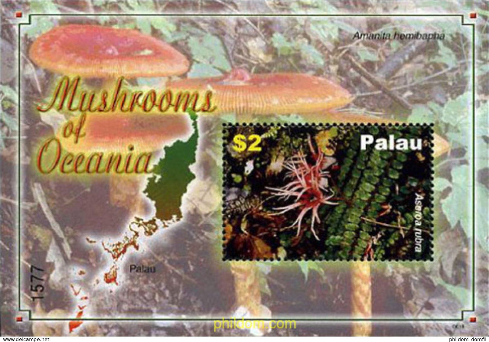 203841 MNH PALAU 2007 SETAS DE OCEANIA - Palau