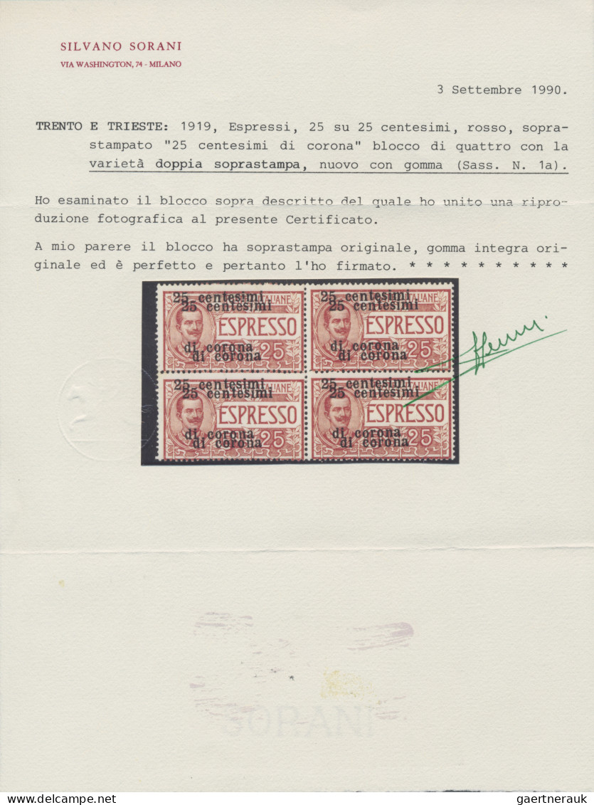 Italy: 1919, Express Stamp 25c. On 25c. Rose Showing Variety "Double Overprint", - Trento & Trieste