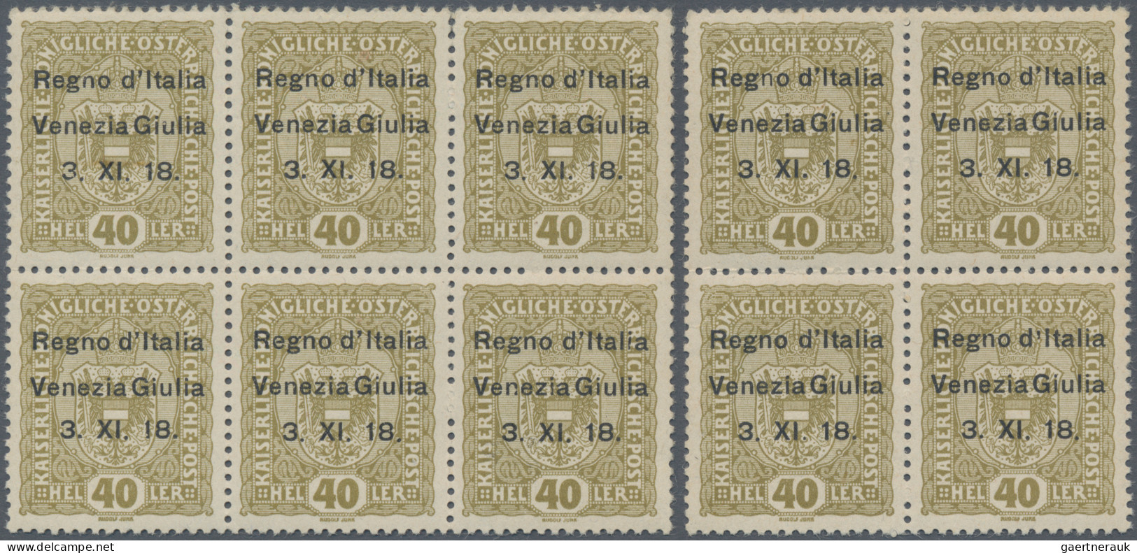 Italy - Venezia Giulia: 1918, 40h Olive Overprinted "Regno D' Italia / Venezia G - Venezia Giulia