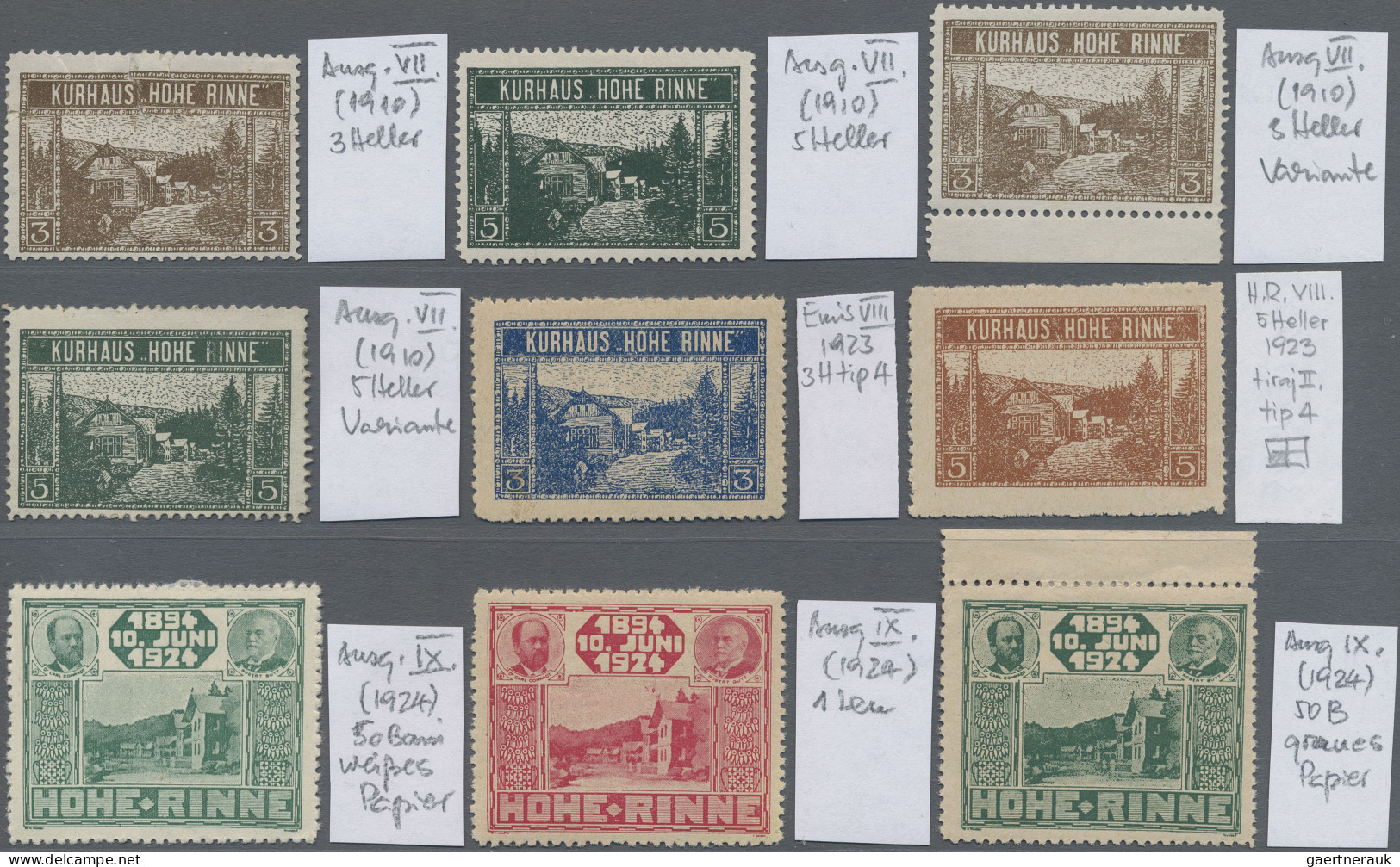 Romania - Specialities: 1910/1924, Hotel Post "Hohe Rinne", Private Mail Service - Autres & Non Classés