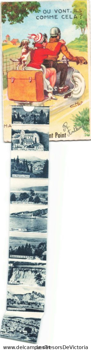 Carte à Système -Où Vont Ils Comme ça? Mais à Lac Saint Point -  Carte Postale Ancienne - A Systèmes