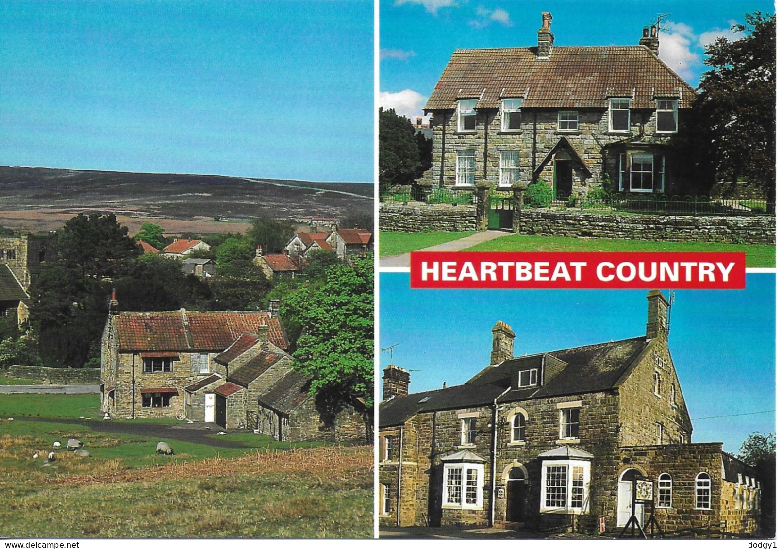 SCENES FROM GOATHLAND, NORTH YORKSHIRE, ENGLAND. UNUSED POSTCARD   Zf6 - Whitby