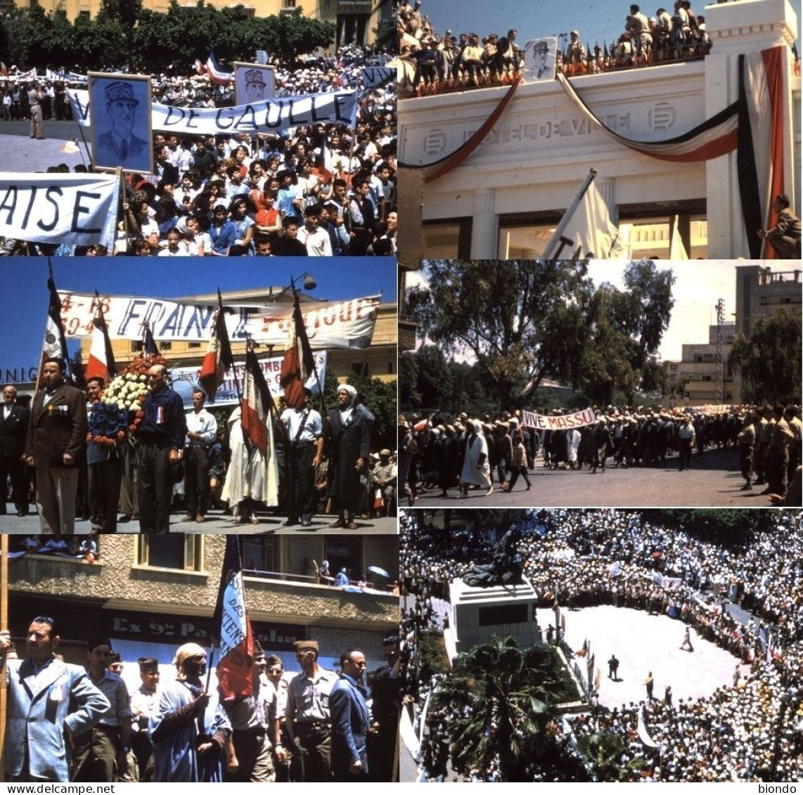 MOSTAGANEM - JOURNEE DU 8 MAI 1958 – 31 PHOTOS - Afrique