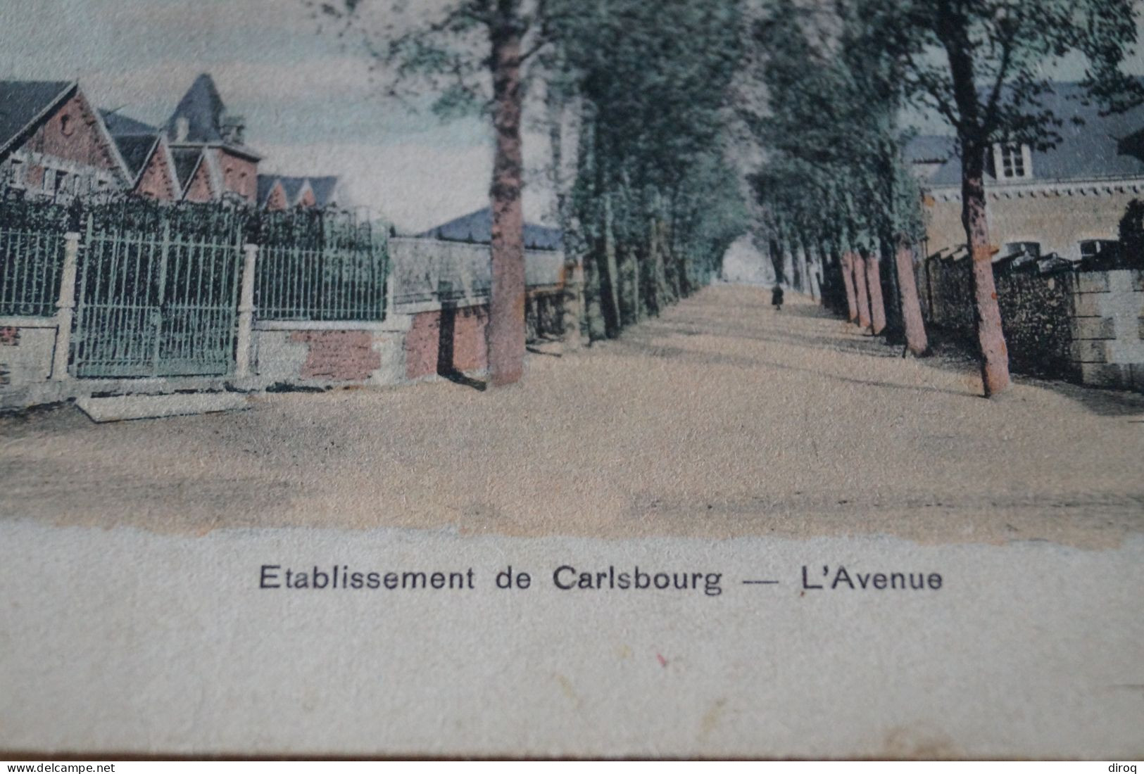 Belle Carte  Ancienne, CARLSBOURG,l'avenue, 1898 - Otros & Sin Clasificación