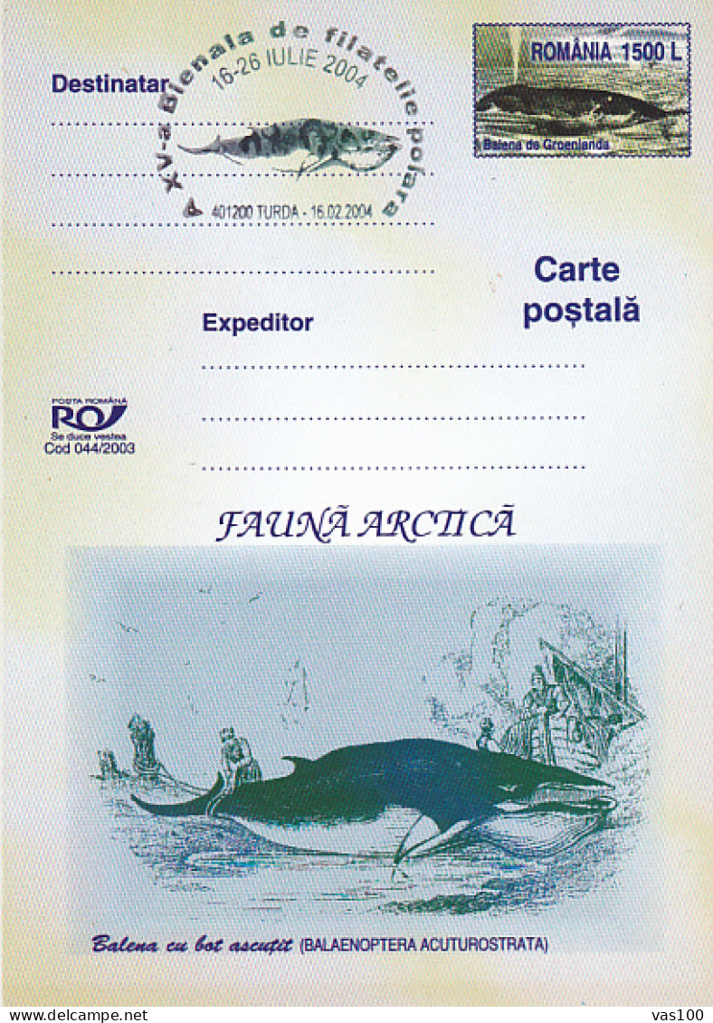 NORTH POLE, ARCTIC WILDLIFE, WHALES, PC STATIONERY, ENTIER POSTAL, 2003, ROMANIA - Arctic Tierwelt