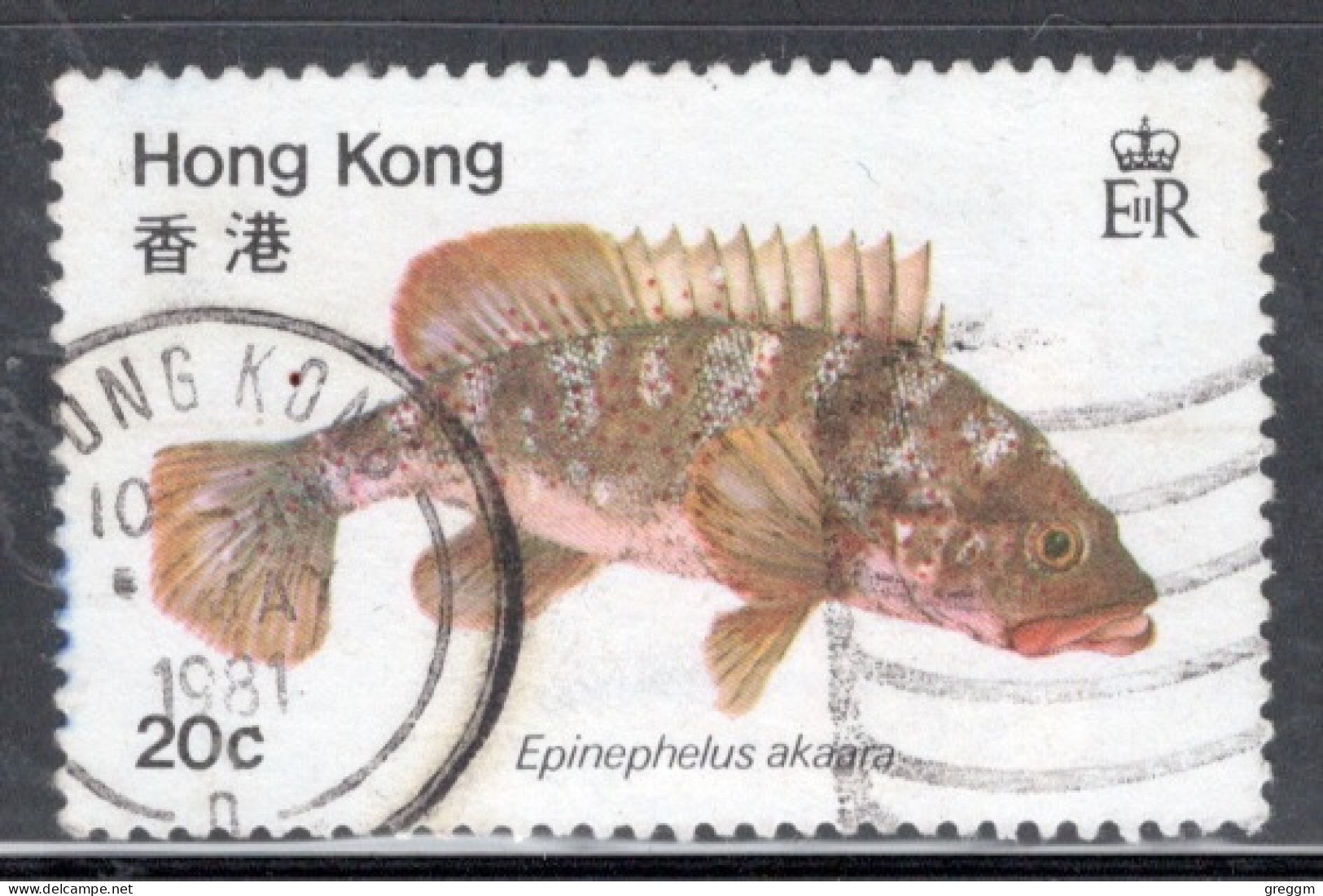 Hong Kong 1981 A Single Stamp From The Set To Celebrate Fish In Fine Used - Gebraucht